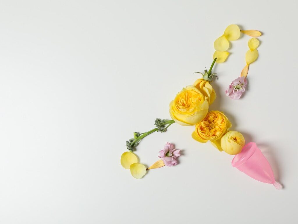 Santé des femmes santé des femmes, règles, douleurs, fertilité, ménopause, grossesse, bouffées de chaleur