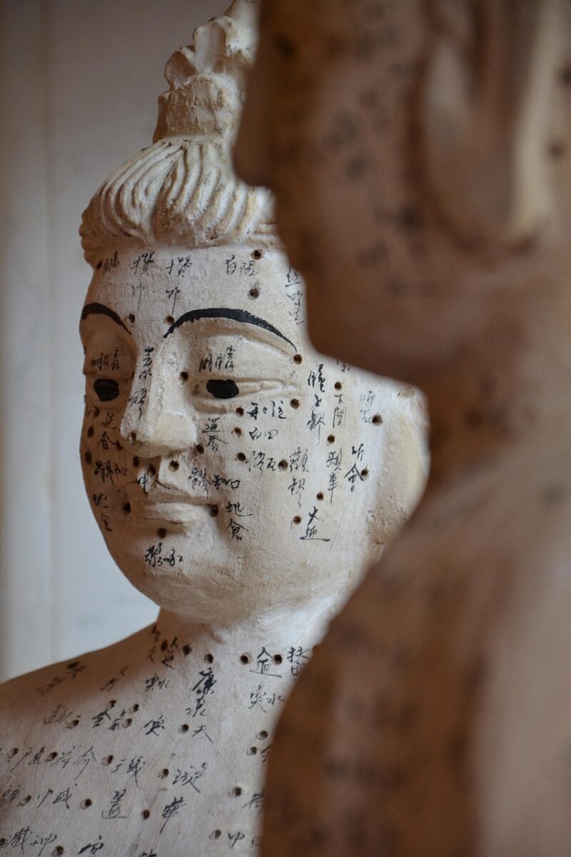 Acupuncture, médecine chinoise à Genève et Veyrier. Traitement des symptômes de ménopause, douleur et stress